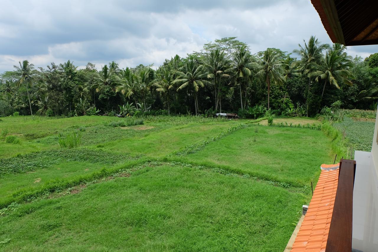 The Rana Villa Tegallalang  Buitenkant foto