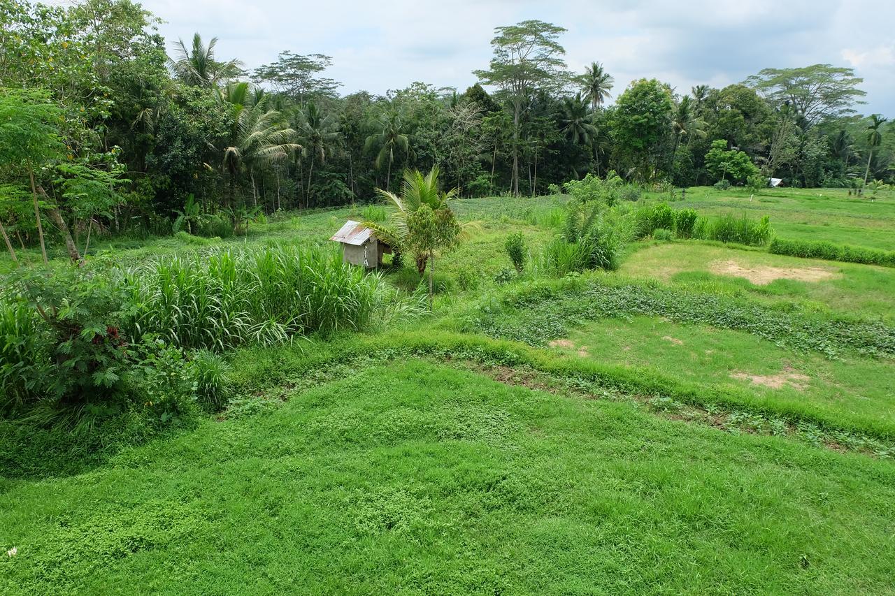 The Rana Villa Tegallalang  Buitenkant foto