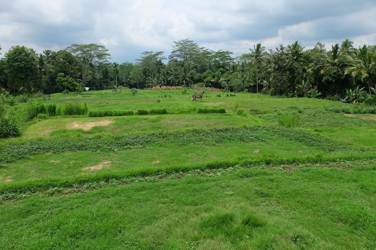 The Rana Villa Tegallalang  Buitenkant foto